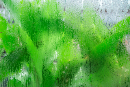Condensation on windowsの写真素材