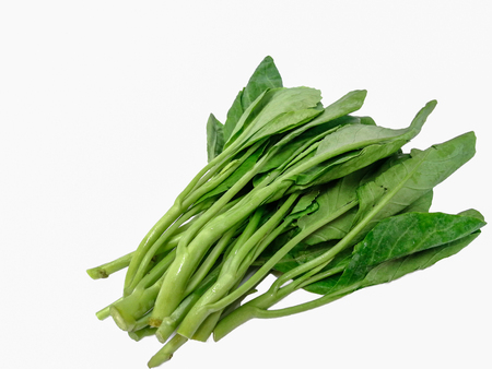 kale(chinese broccoli) with oyster sauce isolated on white backgroundの写真素材