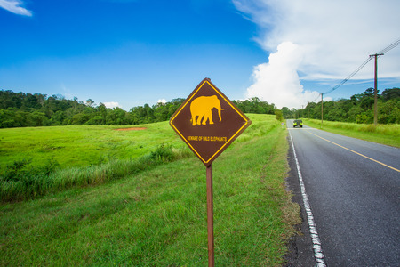 Elephant warning yellow sign and road on backgroundの写真素材