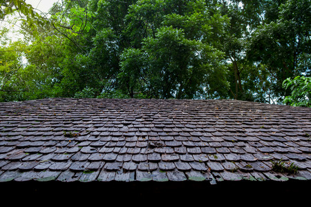 Roofing Contractors Installing House Roof Board for Asphalt Shingles. Roofing Contractor. Roofing...