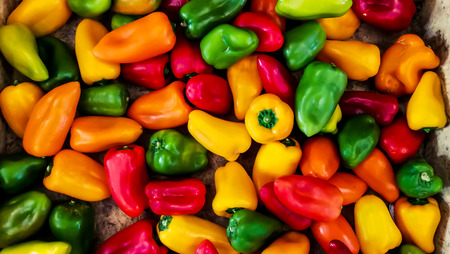 Close up of beautiful yellow, red and green bell pepper or pepper paprika or sweet peppeの写真素材