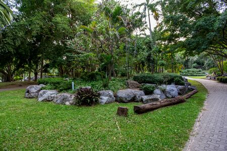 rock garden. gardening background. gardener backyard design elementの写真素材