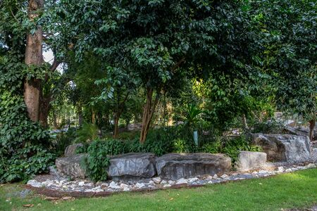 rock garden. gardening background. gardener backyard design elementの写真素材
