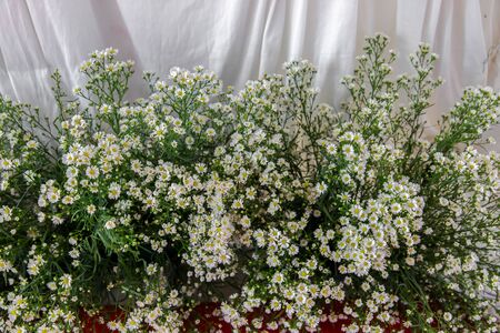 Beautiful flowers in vase on wedding ceremony, copy space. Wedding flowers. Wedding ceremony...