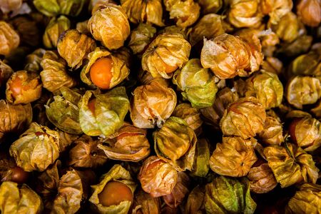 Blue plum fruits. Ripe Plums in a market. Fruietの写真素材