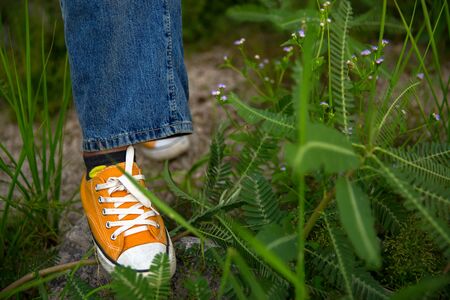 Women feet wearing orange fashion sneaker shoes in hipster styleの写真素材