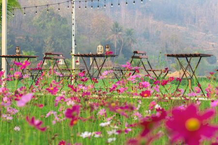 Dining table in landscaped backyard flower gardenの写真素材