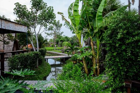 wooden bridge in garden, the Wood Boardwalksの写真素材