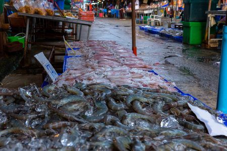 Marine animals sold in the seafood market of Samut Sakhon Province in Thailand where coronavirus cases have been detected, no one has come to shop in the marketの写真素材