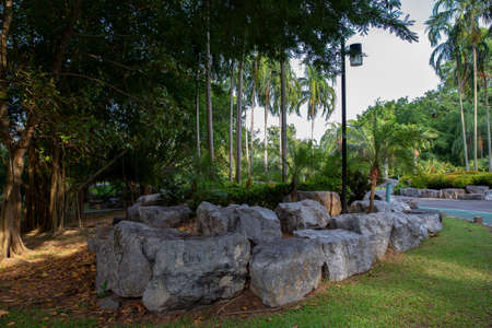 large rock or boulder in with colorful plants in park. Nature rock wall background, selective focus.の写真素材