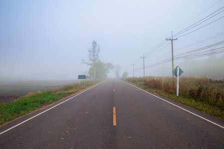 countryside road with fog in the early winter morning, Thailandの写真素材