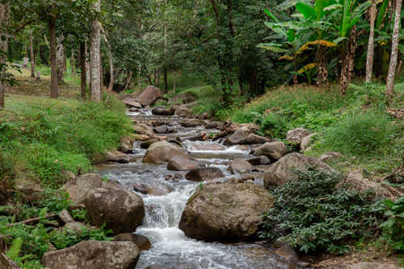 Waterfall green forest river stream landscape, Mossy rocks waterfall stream, Waterfall rocks stream...