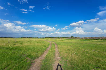 landscape view of green grass field agent blue sky in countryside of Thailandの写真素材