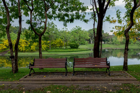 An autumn landscape in the park. Trees and benchの写真素材
