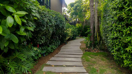 path through the grassy meadow of the garden. tiles with stripes tile pattern. concrete white lawn diagonally. garden details with architectural pedestrian pathの写真素材