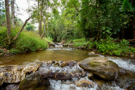 Mountain river with stones. Fast water current. Water photo texture. Grey river in tropics...