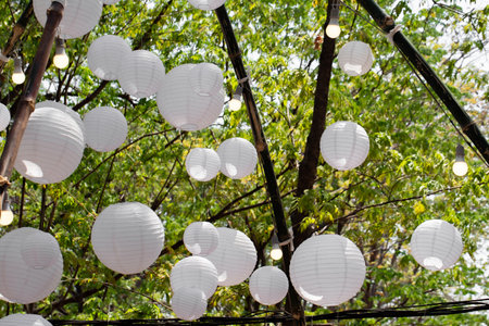 White round lamps hanging from trees in the garden.の写真素材