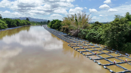 Red tilapia cages in the Mae Klong River, with Thai workers feeding and watching the floating tilapia being raised in used plastic containers in the Mae Klong River in Thailandの写真素材