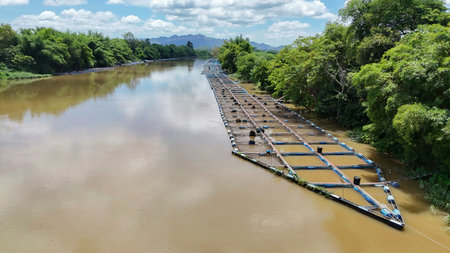 Red tilapia cages in the Mae Klong River, with Thai workers feeding and watching the floating tilapia being raised in used plastic containers in the Mae Klong River in Thailandの写真素材