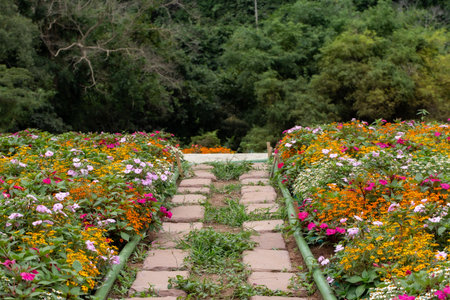 Flower garden at Khao Yai, Korat, Thailand.