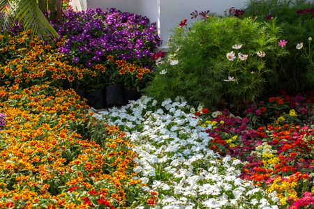 Flower garden at Khao Yai, Korat, Thailand.