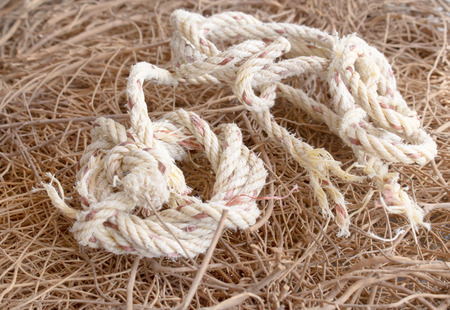 vintage rope closeupの写真素材