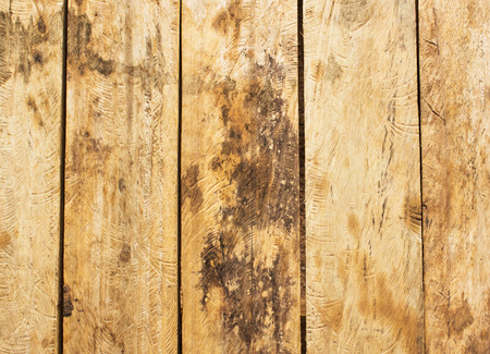 Wood bcckgroundの写真素材