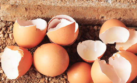 Close up of cracked eggの写真素材
