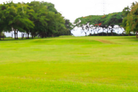 Nature green blurry backgroundの写真素材