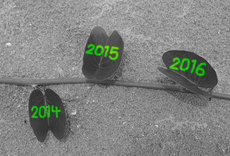 writing 2014 2015 2016 on leaveの写真素材