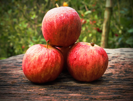 Ripe red apples on wooden background vintage tone.の写真素材