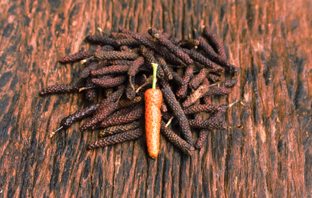 Long Pepper, Indian long pepper, Javanese long pepper (Piper retrofractum Vahl), spices and herbs with medicinal properties.の写真素材