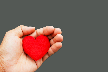 Hand holding red heart for design.の写真素材