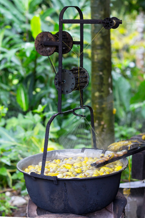 Silkworm Cocoon boil in Hot Water in Pot to Draw Raw Silk Thread to Reel. This is Part of Silk Cloth Process.の写真素材