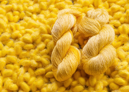 raw thread silk clothing yellow silkworm.の写真素材