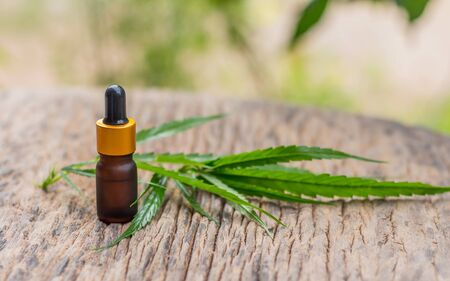 Oil bottles extracted from marijuana and marijuana leaves are placed on old wooden floors,Cannabis Oil - medical marijuana concept.の写真素材