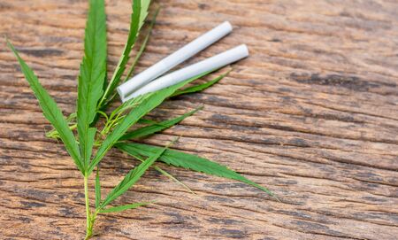 Cigarettes stuffed with dried marijuana and fresh marijuana leaves on old wooden floors,medical marijuana concept.の写真素材