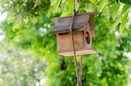 bird Houseの写真素材