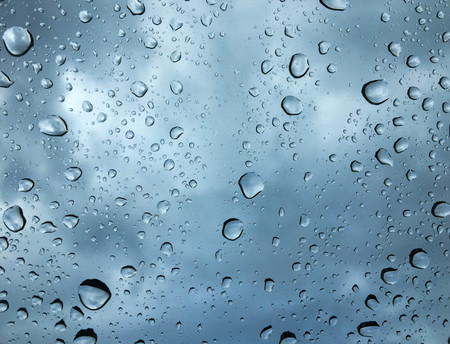 Drops of morning dewの写真素材