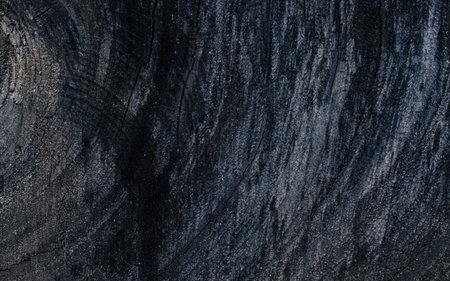 texture of woodの写真素材
