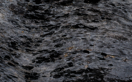 texture of woodの写真素材