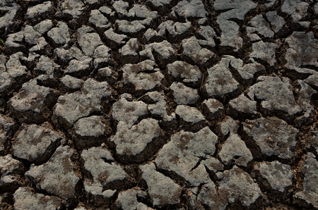 Texture of crack clayの写真素材