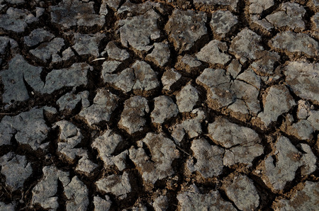 Texture of crack clayの写真素材