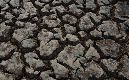 Texture of crack clayの写真素材