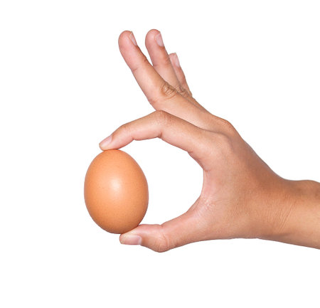 hand holding egg easter day isolated on white backgroundの写真素材