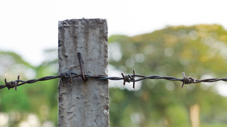barbed wire
