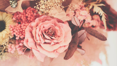 Rose Vintage Backgroundの写真素材