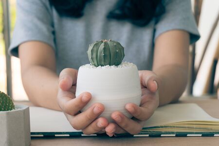 Close up view of a woman Study and care cactus on wood table in cactus cultivation house, Cactus nurseryの写真素材