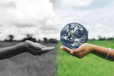 plastic bottle  Ecology problem. Environmental pollution.の写真素材
