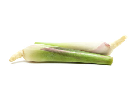 Fresh organic lemongrass isolated on a white background.の写真素材
